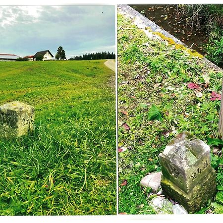 Uebernachtungsmoeglichkeit In Maierhoefen Grunenbach Kültér fotó